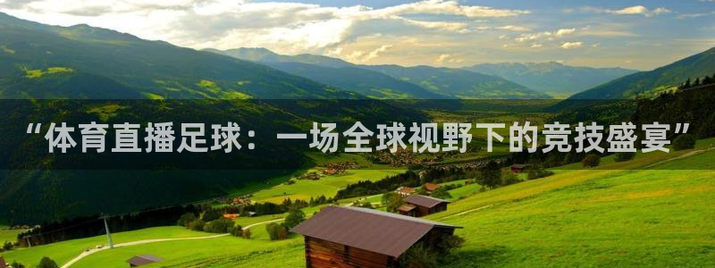 178足球免费直播：“体育直播足球：一场全球视野下的竞技盛宴”