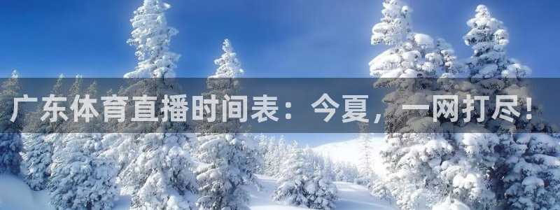 178篮球直播在线观看：广东体育直播时间表：今夏，一网打尽！