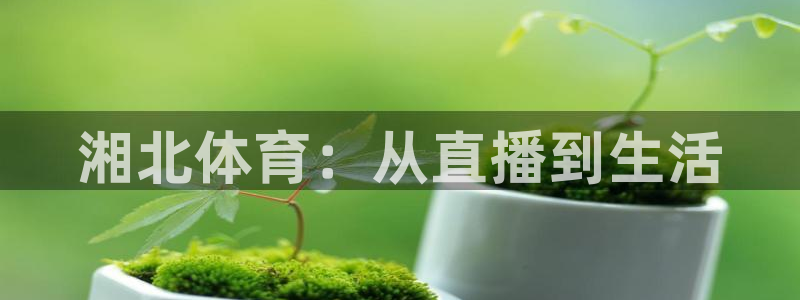 178直播免费体育直播：湘北体育：从直播到生活
