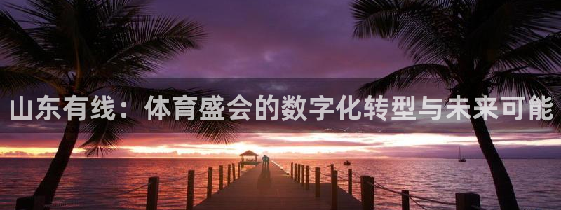178篮球体育直播：山东有线：体育盛会的数字化转型与未来可能