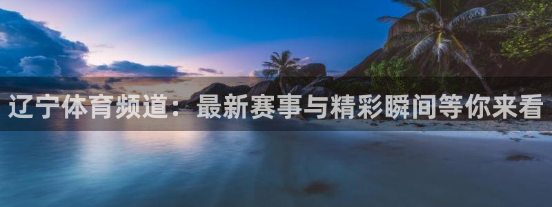 178足球直播在线直播观看：辽宁体育频道：最新赛事与精彩瞬间等你来看