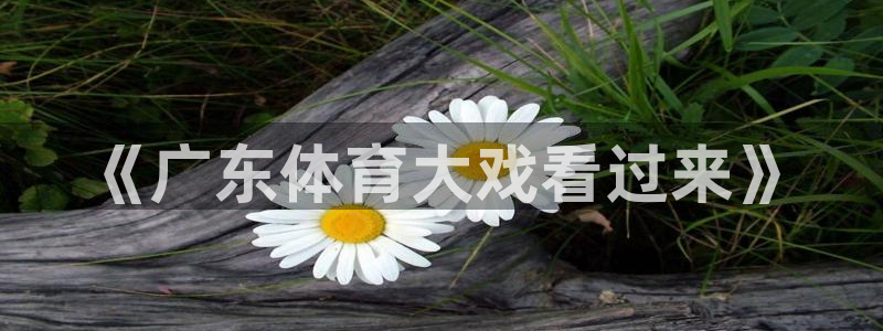 178免费直播nba：《广东体育大戏看过来》