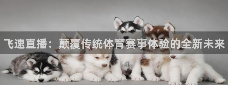 178足球直播直播：飞速直播：颠覆传统体育赛事体验的全新未来
