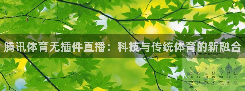 178看球在线免费直播：腾讯体育无插件直播：科技与传统体育的新融合