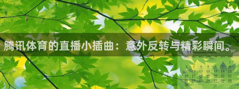 178体育赛事直播免费观看：腾讯体育的直播小插曲：意外反转与精彩瞬间。