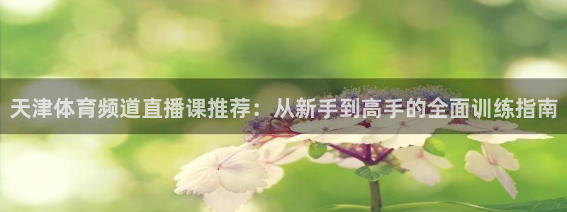 178直播足球直播直播：天津体育频道直播课推荐：从新手到高手的全面训练指南